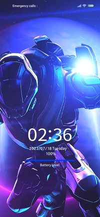 Mech warrior