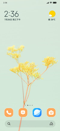 Golden Leaves