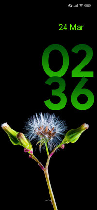 amoled bloom