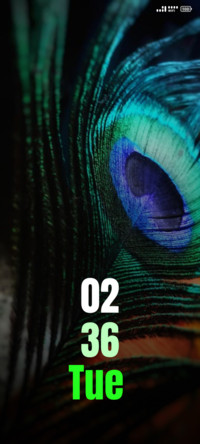 peacock feather