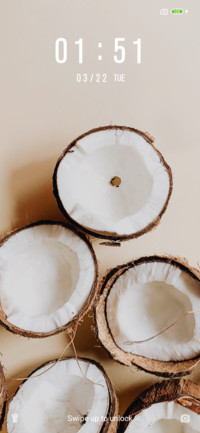 Coconut_3MDS