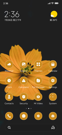 Morning Flower