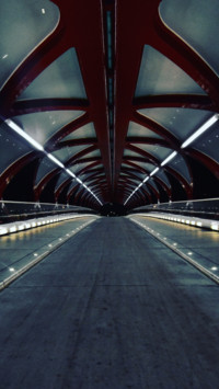 Bridges 2 (16)