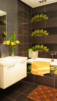 The bathroom is decorated like this