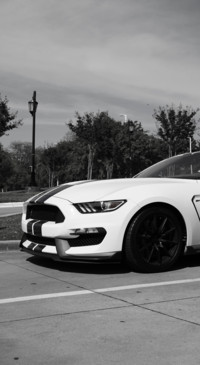 Cars Black or White (9)
