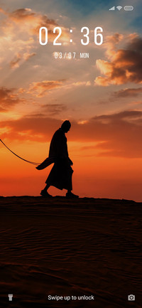 Desert Silhouette