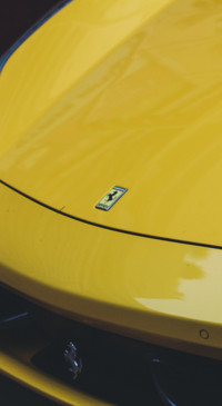 Yellow (22)