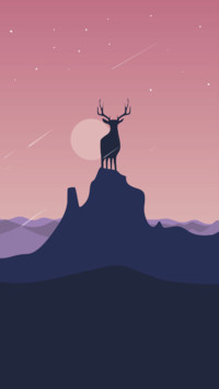 Bucks
