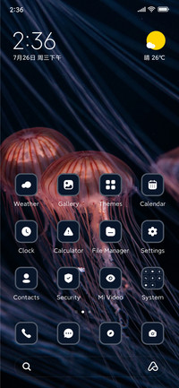 Jellyfish