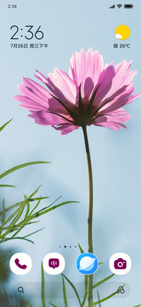 Petal Whisper