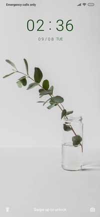 Leaves in a Bottle_3MDS