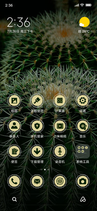 Cactus_3MDS