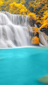 Forest Trees River Waterfall Wallpapers