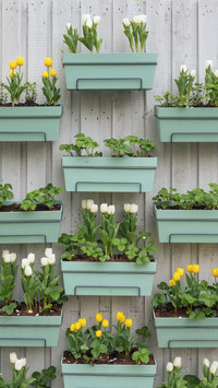 Different shade curtains 31