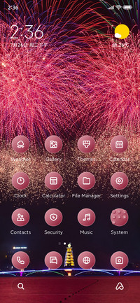 Firework
