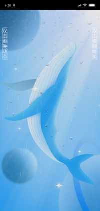 梦幻鲸鱼