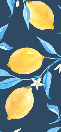 Colorful Fruit-PAIXIN