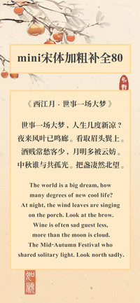 mini宋体加粗补全80