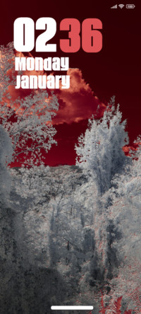 Frozen Vista