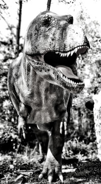 Dinosaur (19)