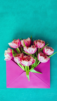 A Letter from Spring