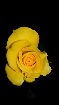 ©Rivu Gayen (9)
