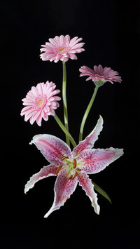 Elegant flower arrangement art 2
