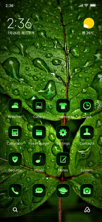 leaves wet