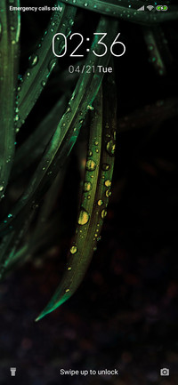 Drizzle_3MDS