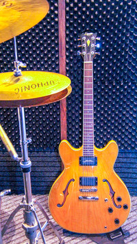 Guitar (9)