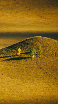 Encounter the golden autumn of the grassland 2