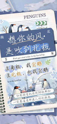 想你的风是吹到北极