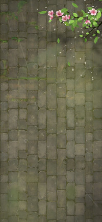 半城青雨