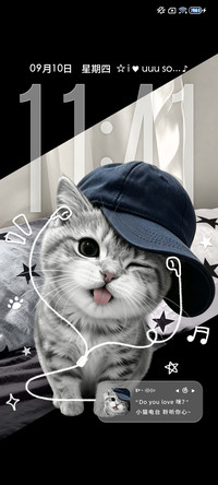 重感 小猫爱你