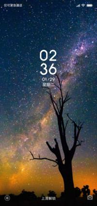 星空下的树