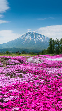 A place that must be visited once in a lifetime 2