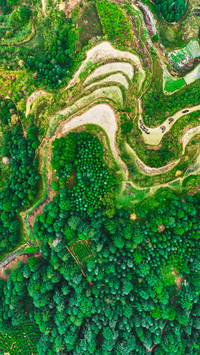The terraced fields of Guizhou are layered one upon another