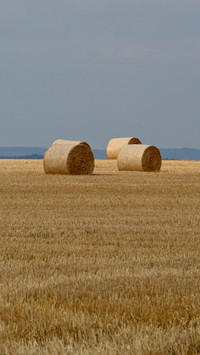 The rural scenery of germany