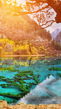 美如油画的风景