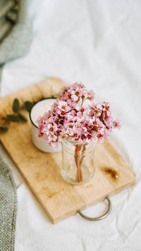pink flowers at home