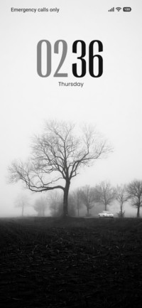 Foggy Solitude