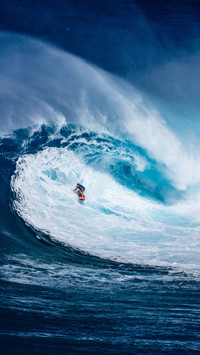 surfing (9)