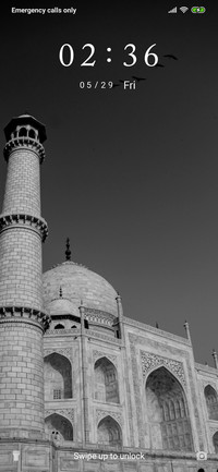 Taj Mahal_3MDS