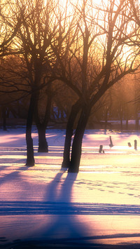 A ray of sunlight filtered through