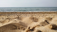 Sea