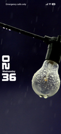 Bulb