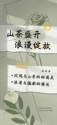 山茶盛开浪漫绽放