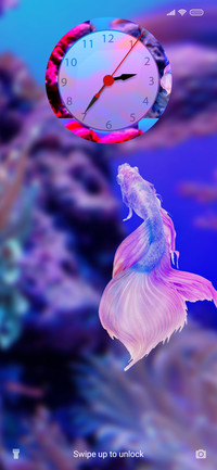 Fish