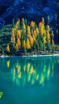 Lake in autumn
