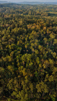 DJI_0999-07
